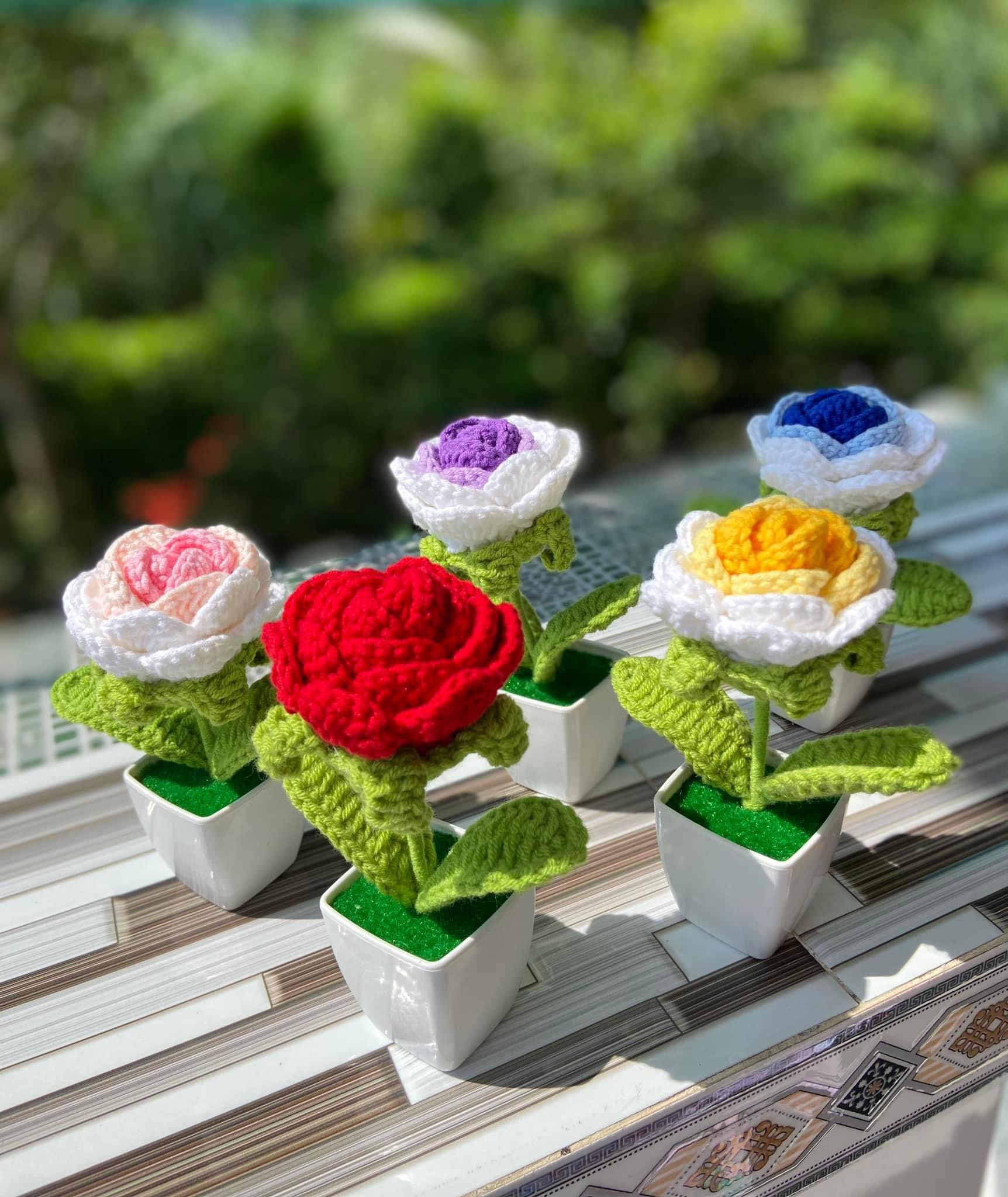 Ảnh chính của Chậu hoa hồng